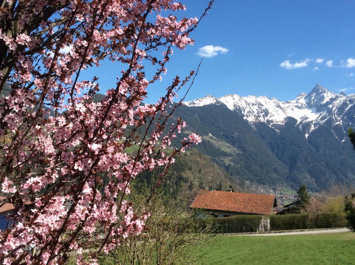 Double Room With A Kitchenette And Private Bathroom In A Beautiful Surrounding Sautens Esterno foto